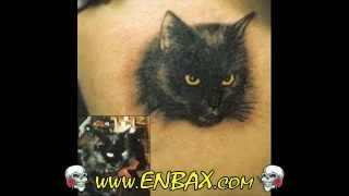 Animals Tattoos for Guys and Girls