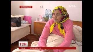 Происшествия: Четверо суток провела в лесу на Житомирщине 78-летняя пенсионерка