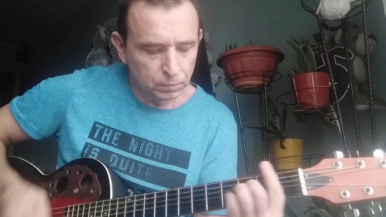 пикник королевство кривых гитара