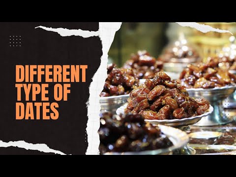 Top 10 Different Types of Dates: Their Origin, Flavor, and Health ...