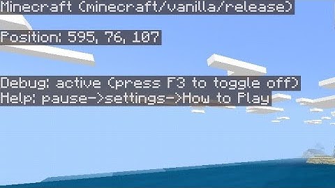 Debug Screen Addon for MCPE 1.16+ | MCPE