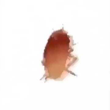 spinning cockroach meme