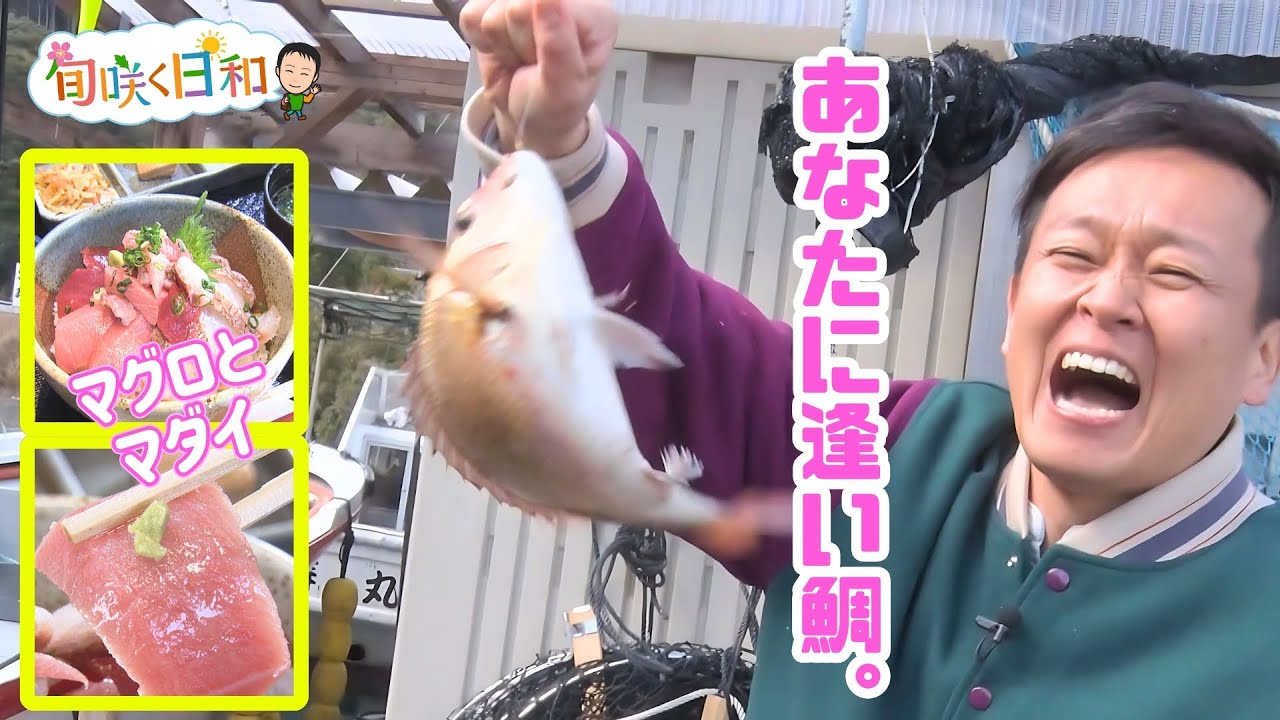 【旬咲く日和】修作さん初めての三重県南伊勢町　早春の絶景と海の幸づくし