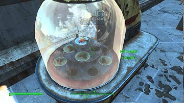 Fallout 4: The Cake is A Lie