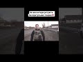 #бахмут #війна #волонтери #донецькаобласть #допомогатваринам #собаки #безпритульнітварини