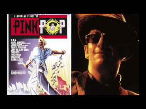 Elvis Costello solo - I Want You (1989)