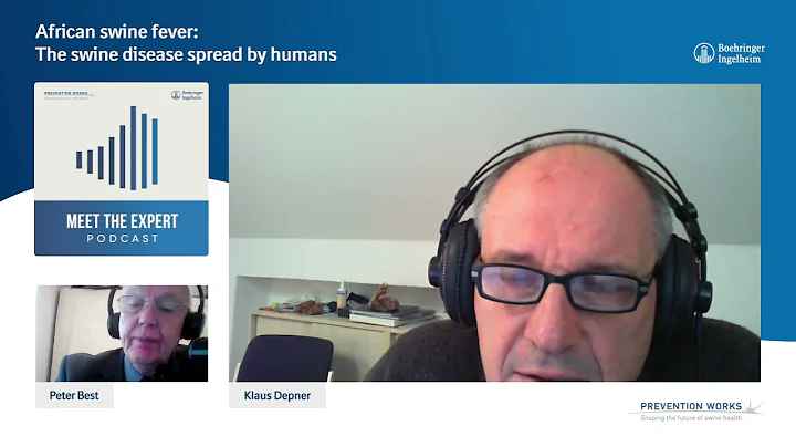 African swine fever: The swine disease spread by humans