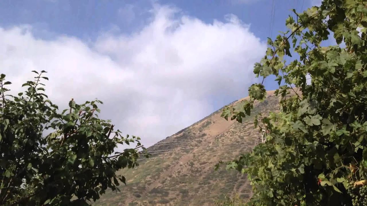 KADİFECİ OSMAN-KAYSERİ  0534 4774320