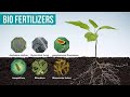 Biofertilizers