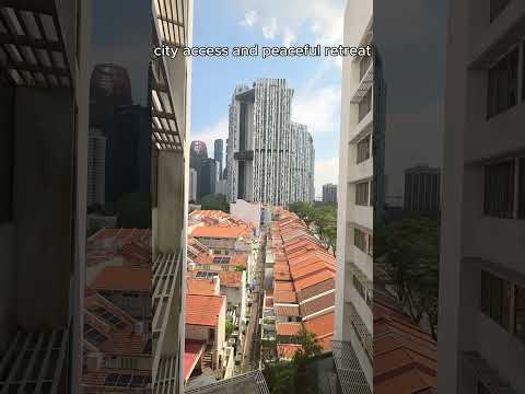 Singapore Travel Experience