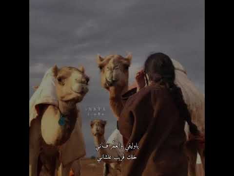 ياوليفي والعمر فاني خلك قريب علشاني 