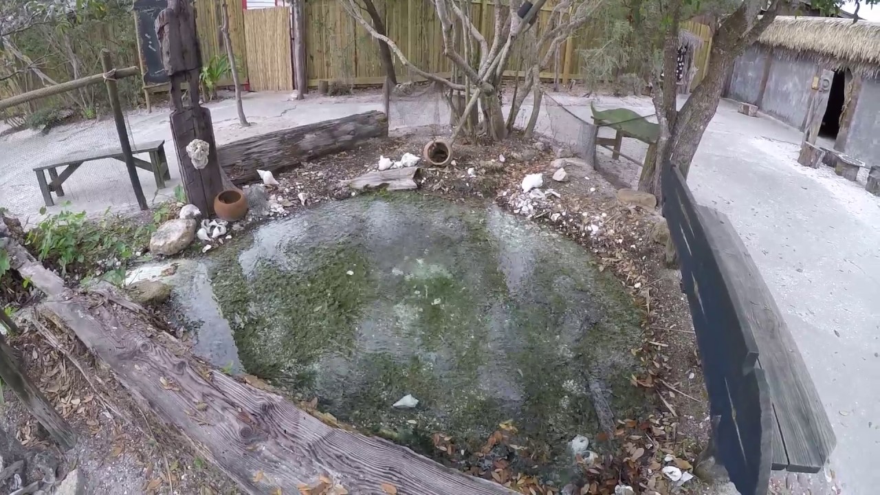 Real sulphur spring, still bubbling!