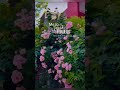 Flowers love|Nature| #flowers #nature #flower #phool #youtube #shorts #subscribe #trendingshorts #yt