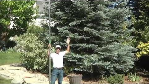 Pro Tip - How to Properly Swag a Large Tree