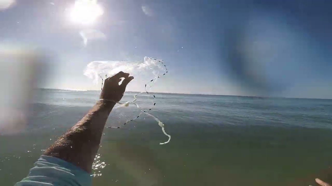 GIANT school of mullet in the SURF!!! Cast Net Action!