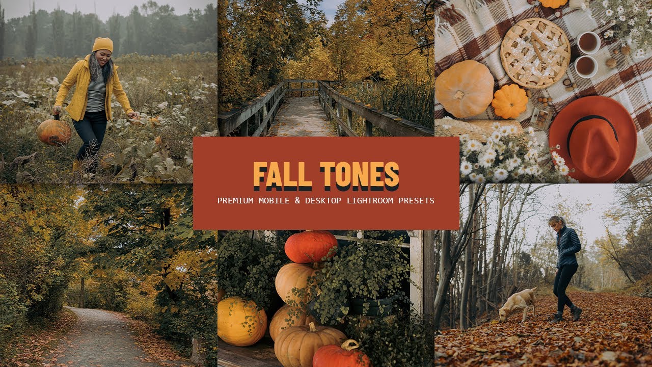 FREE FALL TONE Preset | Lightroom Mobile Tutorial + Download