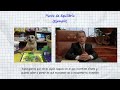 ¿QUÉ #?$%&@ ES LA RAÍZ DE UNA ECUACIÓN? | zDynamics