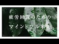 【10分】疲労回復のためのマインドフルネス瞑想【夜・寝る前にもおすすめ!寝たままでもOK】