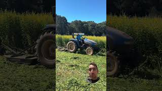 What is Sun Hemp? #organicfarming #georgia #freshharvest
