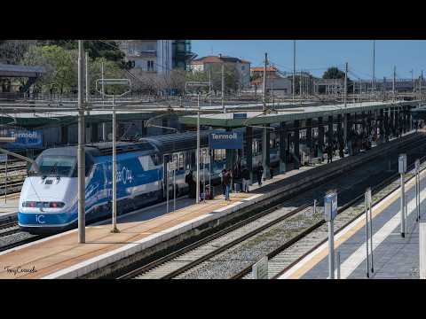 Video Emergenza viabilità in Molise: Frana a Petacciato paralizza l'Adriatica. Chiusa A14 e treni sospesi