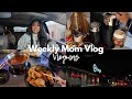 VLOGMAS DAY 1 | Finally getting back into routine and doing a little shopping! #costco #mom #vlogmas