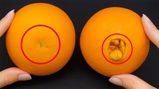 Kuru Portakal Almayı Bırakın Tatlı Olanı Böyle Seçilir Bana Floridadaki Bir Çiftçi Öğretti.