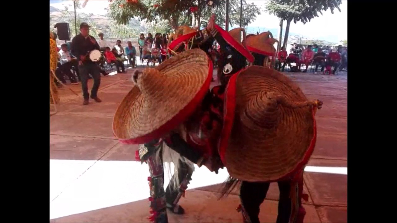 Danza de tecuanes de Zacualpan (estilo Acatlán) video to gif