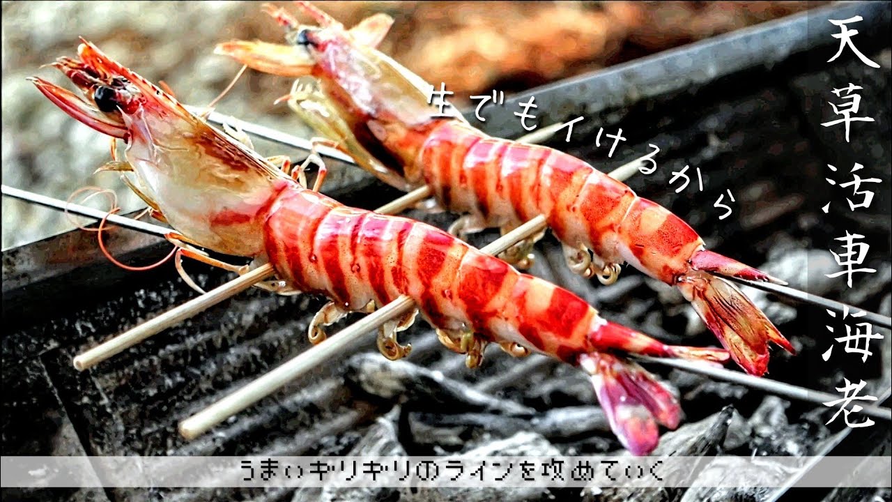 #30【紀州備長炭✕活車海老】天草活車海老を攻めて焼く。