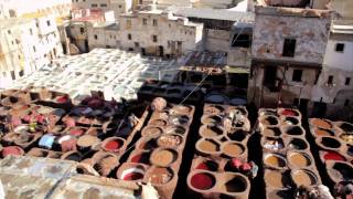 Fes Fez in a Minute
