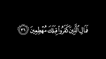 كروما شاشة سوداء القارئ ناصر القطامي