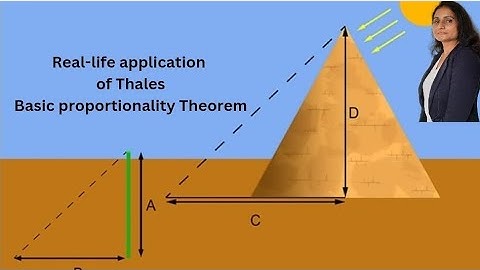 Real life application of thales theorem #mathismagic  #thalestheorem