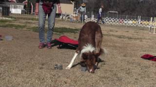 Utility Scent Article Game Progressed to Outdoors Guide