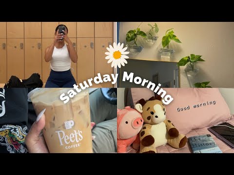 A Productive Saturday Morning