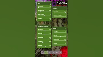 DayZ Best Filters! #dayz #rearmed #pvp  #event #frag