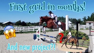 My New OTTB Project & Milo's 1st Grid in 7 months| Vlog