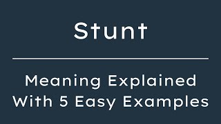 What Does Stunt Mean? Stunt Meaning in English With 5 Example Sentences