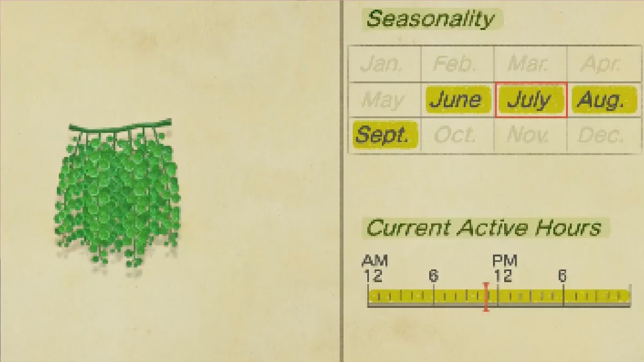 How To Catch Sea Grapes In Animal Crossing New Horizons And Turn In Dialog Youtube