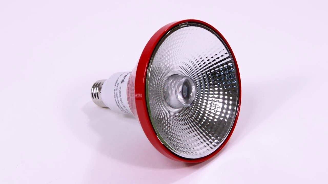 Illumin8 Par38 Red Led Indoor Outdoor Flood Light You Illumin8 Par38 Red Led Indoor Outdoor Flood Light