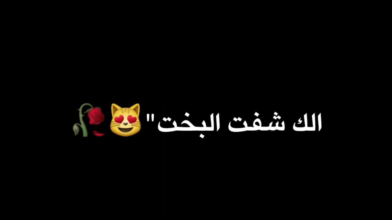 شاشه سوداء لا يا كلب الك شفت البخت رعد وميثاق السامراي بدون حقوق Youtube