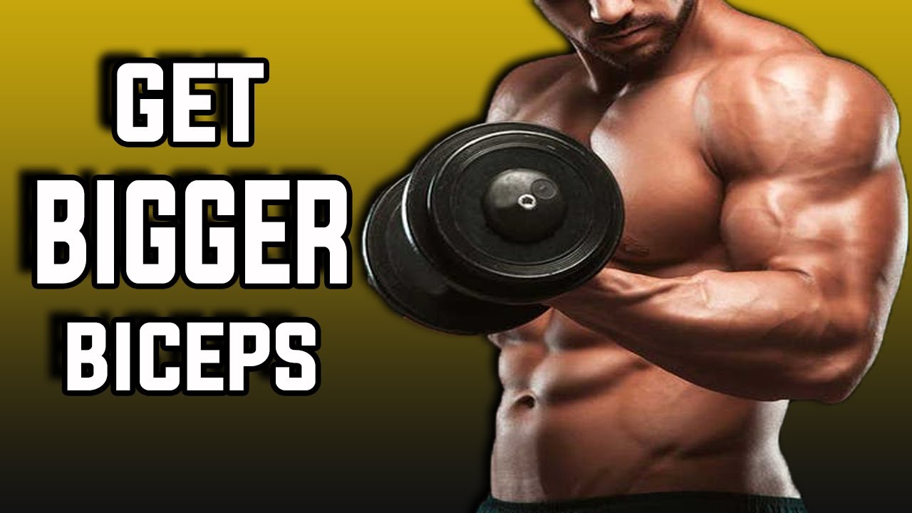 Bicep Workout | Best Bicep Workout | Big Biceps Workout | #shorts
