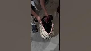 Hari terakhir mau pulkam ke Binjai dulu sama bang Antoni PJF