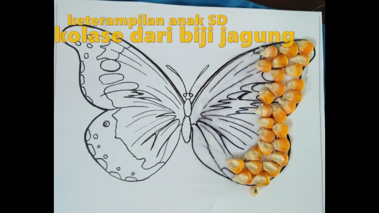 Kolase dari biji jagung kolase kelas 1 SD YouTube