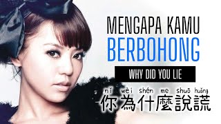 你為什麼說謊 • Ni Wei She Me Shuo Huang • 丁噹 Della • Mengapa Kamu Berbohong • Why did you lie