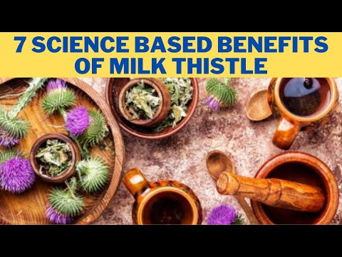 7 Science-Based Benefits of Milk Thistle - What does milk thistle do for the body? | 247nht