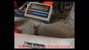 Cách hiệu chuẩn (calib) cân điện tử CAS HB/HBI