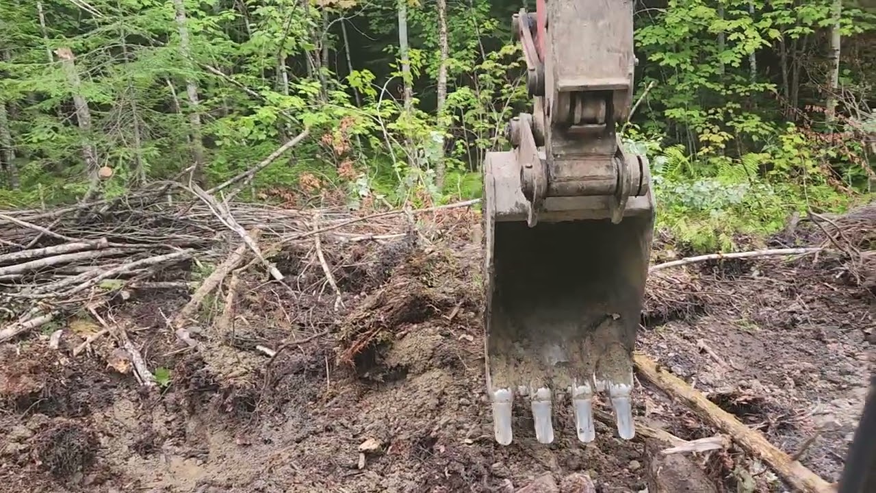 Slinging Dirt  -  Building a Forest Road