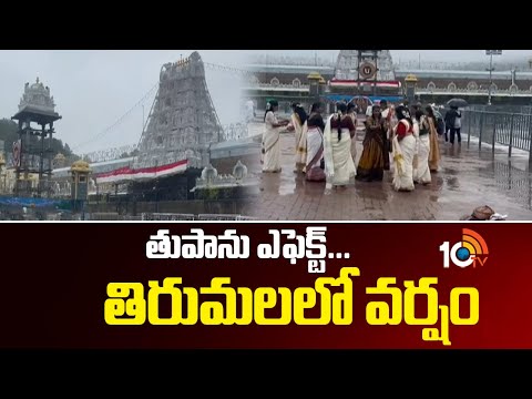 తుపాను ఎఫెక్ట్...తిరుమలలో వర్షం | Heavy Rain In Tirumala | Tirupati | 10TV News - 10TVNEWSTELUGU