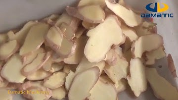 Multi-function vegetable cutting machine, we are serious about cutting ginger slices