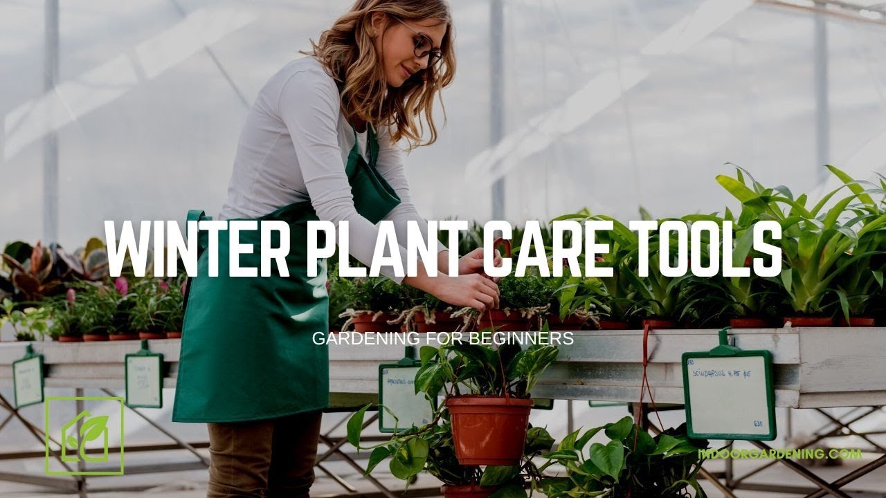 Winter Plant Care Tools