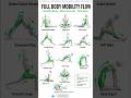 Full Body Mobility Flow | Move Better Every Day #everydayfitness